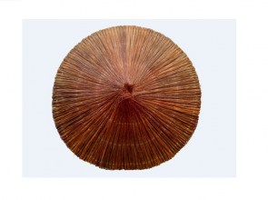 Ανταλλακτικό καπέλο CAPRI Απο ξύλινες βέργες