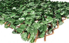 Φυλλωσιά σκούρο πράσινο με ξύλινο πτυσσόμενο πλέγμα